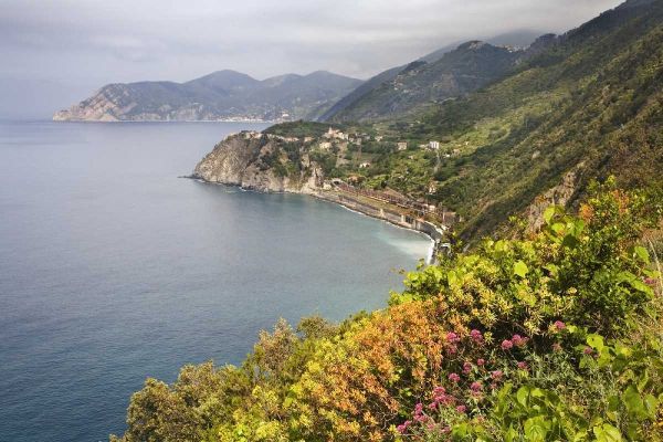 Italy, Cinque Terre Coastal shoreline lookout